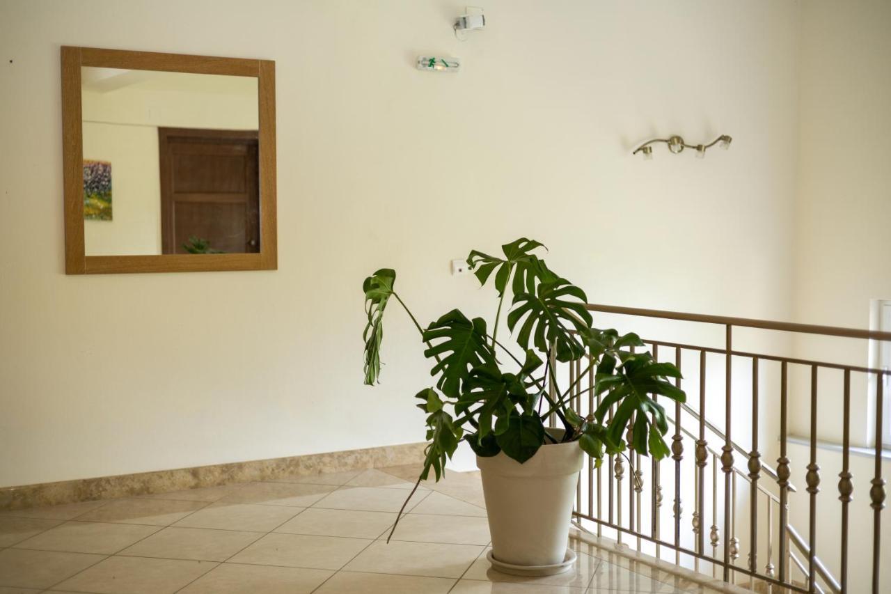 Chrisovalanto Hotel Sívota エクステリア 写真